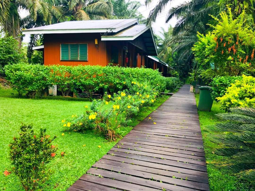 Sukau Backpackers B&B ภายนอก รูปภาพ